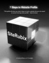 Thumbnail 7 Steps to Website Profits